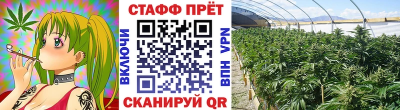 Какие есть наркотики Долгопрудный MEGA   Альфа ПВП  Амфетамин  МДМА  Канабис  Мефедрон  Cocaine 