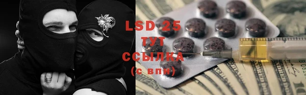 ГАЛЛЮЦИНОГЕННЫЕ ГРИБЫ Балабаново