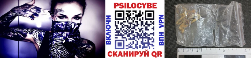 MEGA онион Долгопрудный Псилоцибиновые грибы MAGIC MUSHROOMS закладка